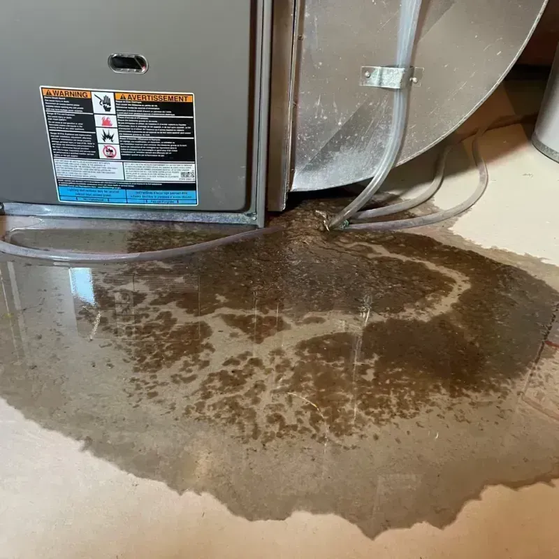 Appliance Leak Cleanup in Mount Sterling, KY